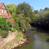 Flusslandschaft der Jahre 2016/17: Trave (Stadtarm bei Bad Oldesloe) Flusslandschaft der Jahre 2016/17: Trave (Stadtarm bei Bad Oldesloe)